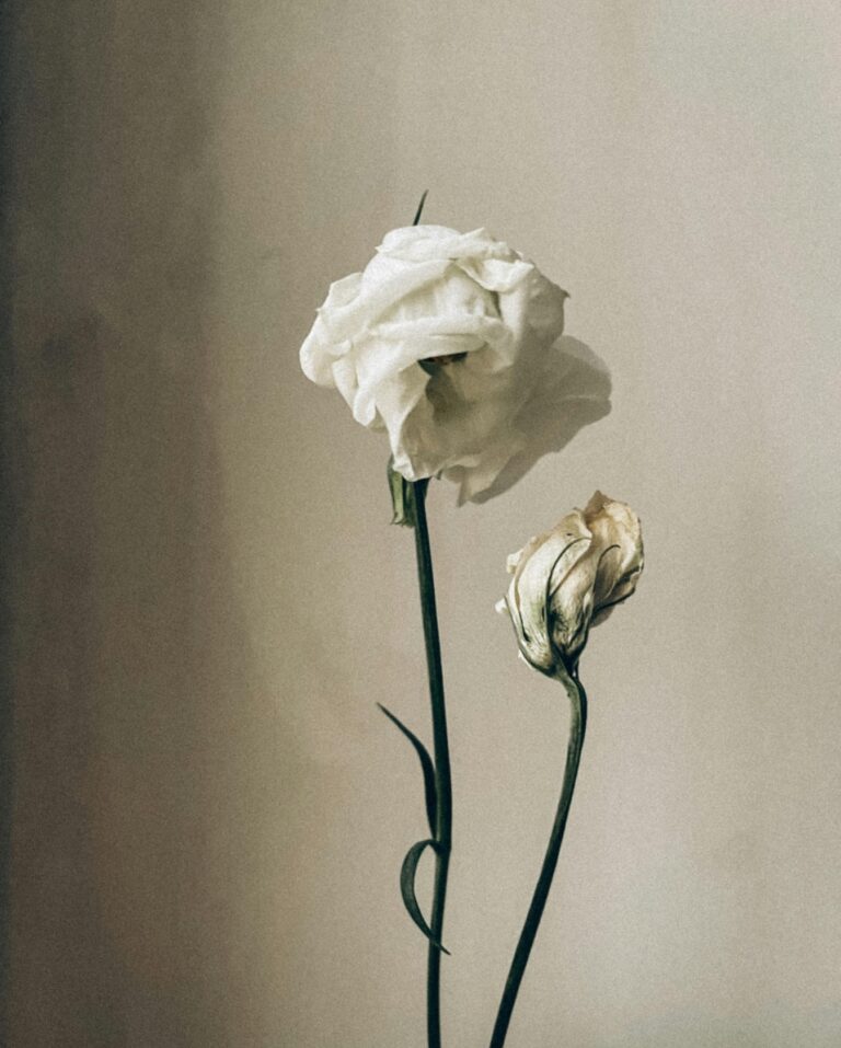 Instagram post from themadclouds. This post is in position 6.