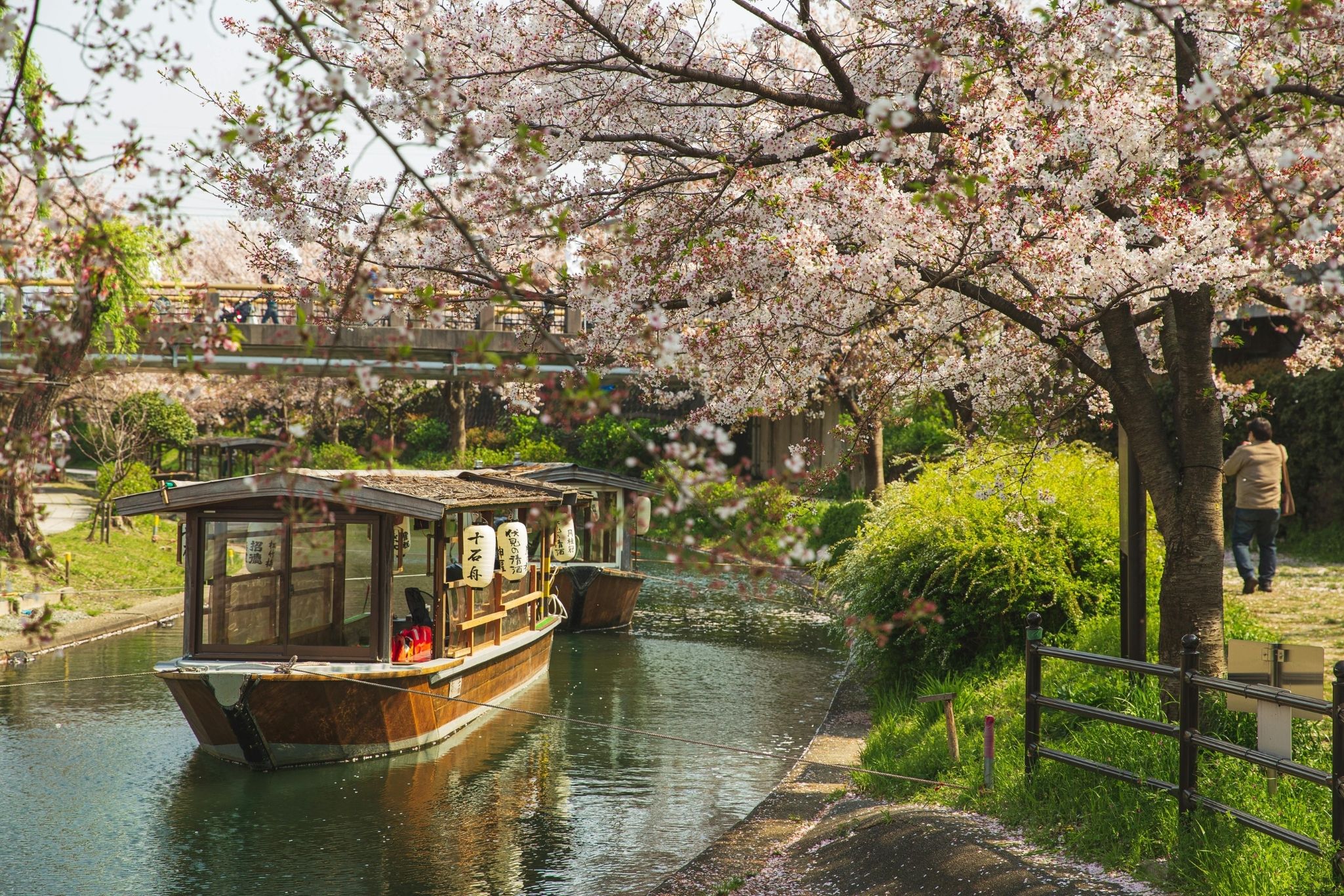 KYOTO, PHOTOGRAPHY BY Ryutaro Tsukata