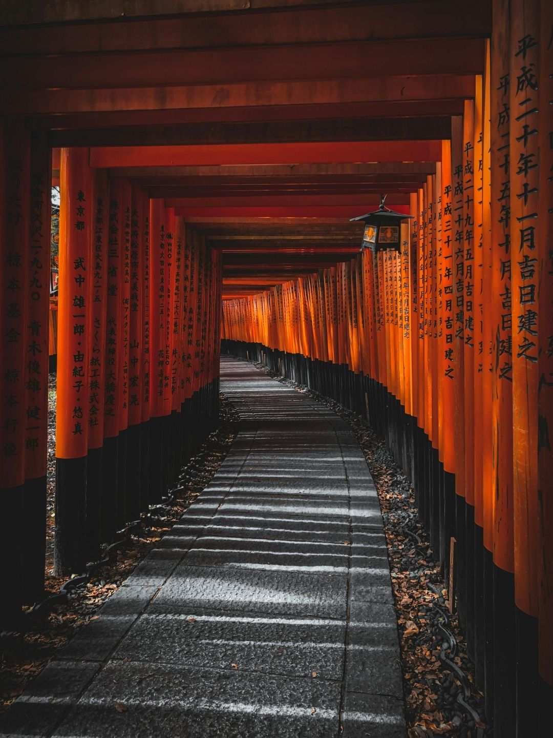 early morning at FUSHIMI INARI SHRINE
